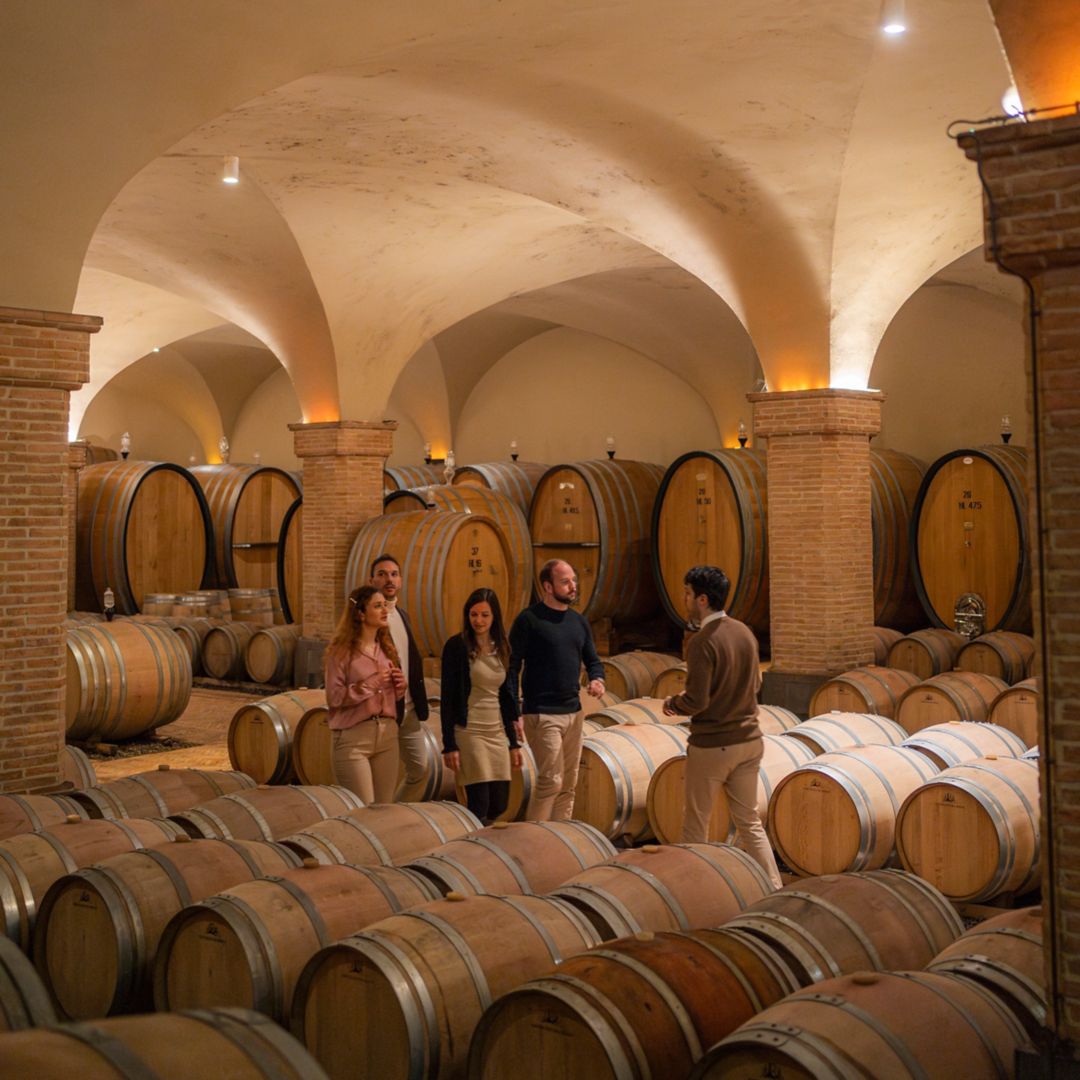 Activities in Tuscany